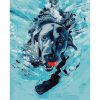 Úszó kutyus - számozott kifestő